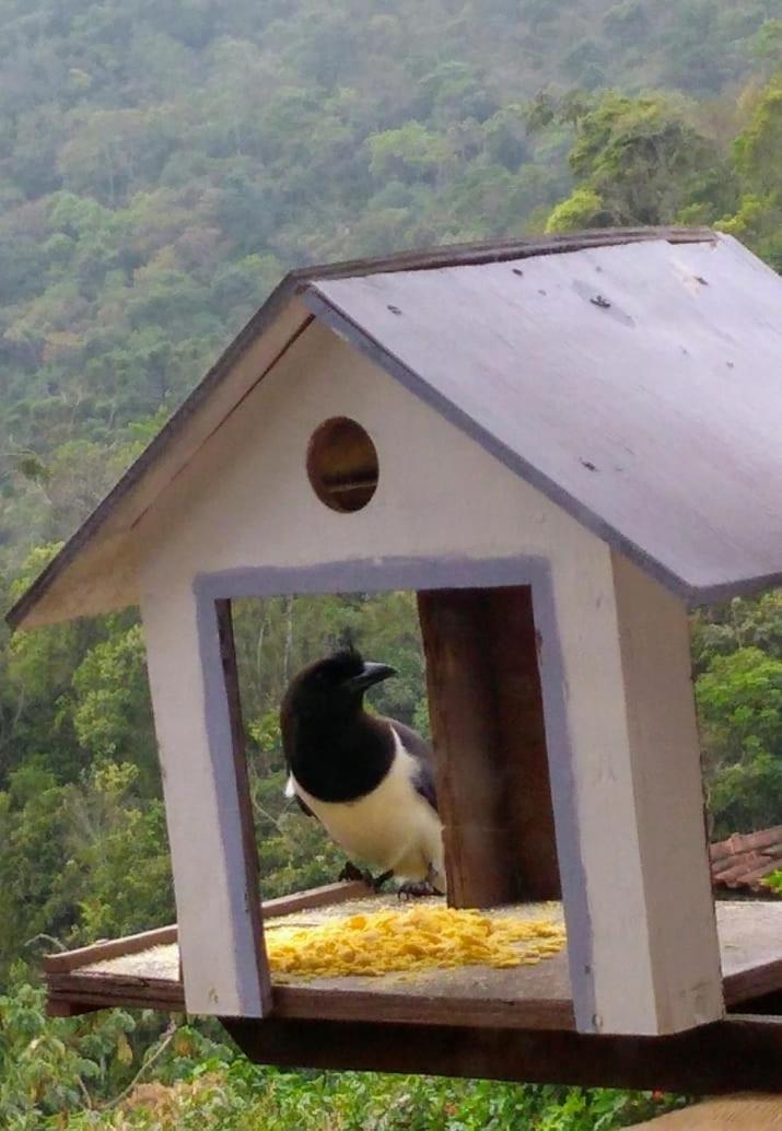 Vila Casa Sossego Da Montanha Visconde de Mauá Exteriér fotografie