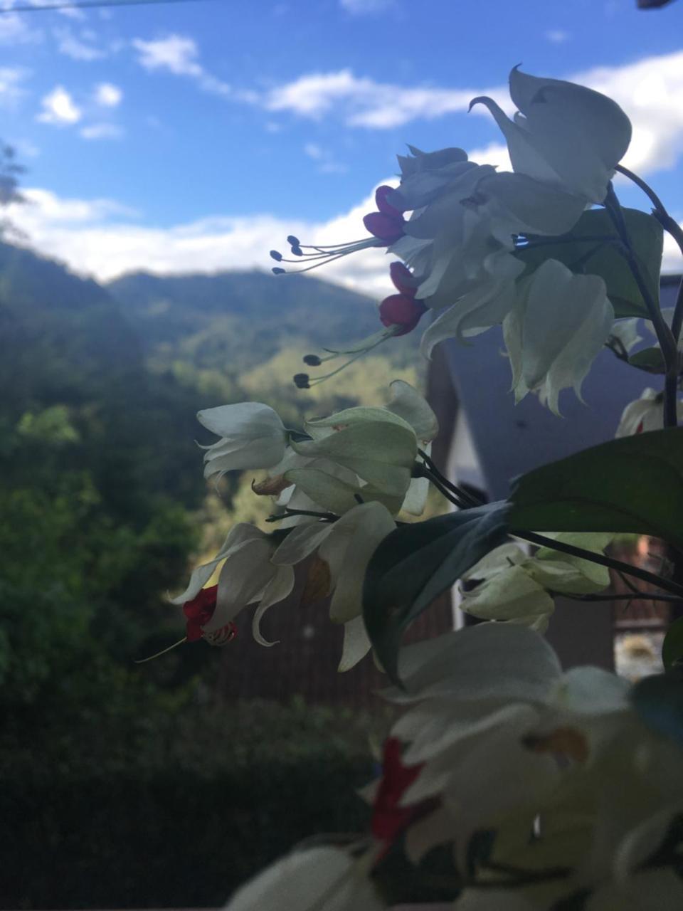 Vila Casa Sossego Da Montanha Visconde de Mauá Exteriér fotografie